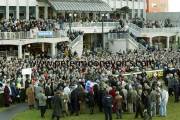 leopardstown-pm0001803