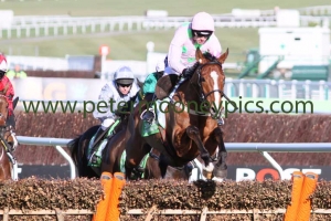 faugheen-100315pml252