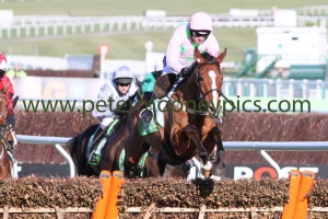 faugheen-100315pml252 faugheen-100315pml252