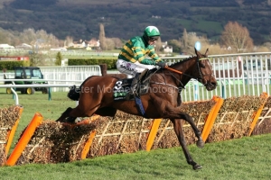 12 March 2019;    ESPOIR D'ALLEN, Mark Walsh up, clears the final flight before claiming The Unibet Champion Hurdle Challenge Trophy at Cheltenham.      © Peter Mooney, 59 Upper George's Street, Dun Laoghaire, Co. Dublin, Ireland.    Tel:  00 353 (0)86 2589298