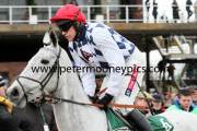 simonsig-pml-00119086