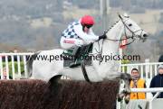 simonsig-pml-00119118
