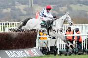 simonsig-pml-00119119
