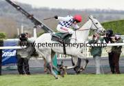simonsig-pml-00119124