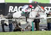 simonsig-pml-00119127