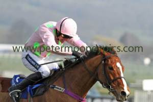 faugheen-120314pml0279