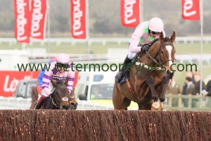 vautour-120315pml721