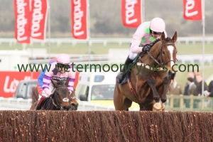 vautour-120315pml721 vautour-120315pml721