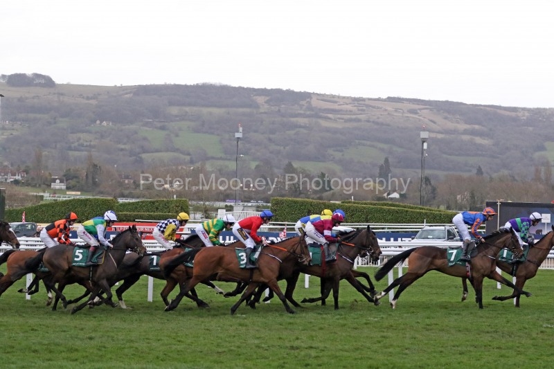 13 March 2019; Eventual winner, ENVOIE ALLEN, Jamie Codd up, no.3, is amongst the leaders as they pass the stands during The Weatherbys Champion Bumper at Cheltenham.      © Peter Mooney, 59 Upper George's Street, Dun Laoghaire, Co. Dublin, Ireland.    Tel:  00 353 (0)86 2589298