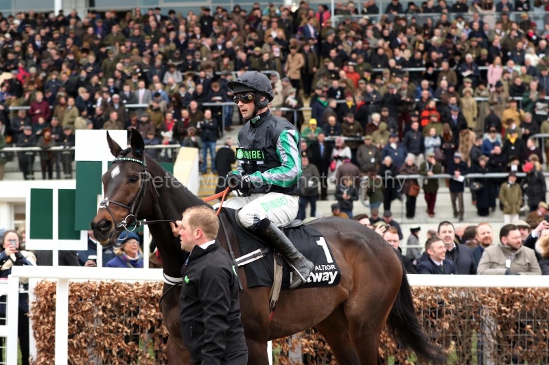 13 March 2019;  ALTIOR, Nico de Boinville up, prior to his success in The Betway Queen Mother Champion Steeple Chase at Cheltenham.      © Peter Mooney, 59 Upper George's Street, Dun Laoghaire, Co. Dublin, Ireland.    Tel:  00 353 (0)86 2589298