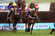 lord-windermere-pml-00119581