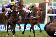 lord-windermere-pml-00119584