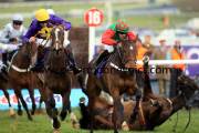 lord-windermere-pml-00119588