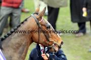 lord-windermere-pml-00119616