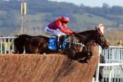 sprinter-sacre-pml-00119639