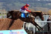 sprinter-sacre-pml-00119640