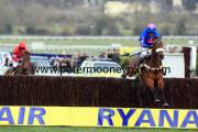 cue-card-pml-00119831