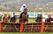 holywell-pml-00119775