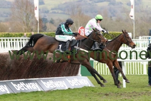 altior-140318pml0567 altior-140318pml0567