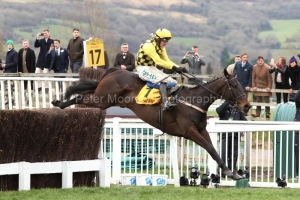 15 March 2019;  AL BOUM PHOTO and Paul Townend clear the final fence in style before gaining success in The Magners Cheltenham Gold Cup Steeple Chase at Cheltenham.     © Peter Mooney, 59 Upper George's Street, Dun Laoghaire, Co. Dublin, Ireland.    Tel:  00 353 (0)86 2589298