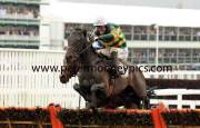 at-fishers-cross-pml-00120295