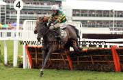 at-fishers-cross-pml-00120297