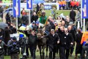 ted-veale-pml-00120271