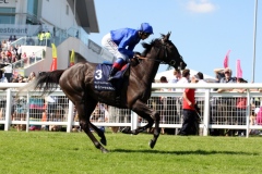 Blue Bunting-PML 00155060