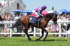 Fame And Glory PML 00121957.JPG