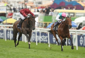 Sariska PML 0093132.JPG