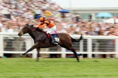 Bertoliver PML 00122303.JPG