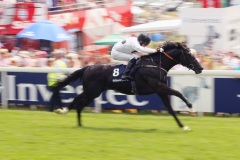 Dandino PML 0012244.JPG