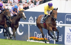 Sea The Stars PML 0093271.JPG