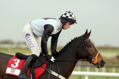 Dunguib PML 00106448.JPG