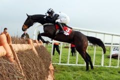 Dunguib PML 00106465.JPG