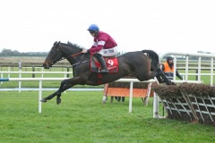 2 December 2018;  APPLE'S JADE, Jack Kennedy up, puts in a fine leap at an early flight before gaining success in The baroneracing.com Hatton's Grace Hurdle at Fairyhouse.      © Peter Mooney 59 Upper George's Street, Dun Laoghaire, Co. Dublin, A96 H2R3, Ireland.    Tel:  00 353 (0)86 2589298