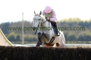 ballycasey-020417pml0401 ballycasey-020417pml0401