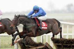Hurricane Fly PMLOO140483 Hurricane Fly PMLOO140483