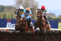 Iberique Du Seuil 180422PML0555.jpg