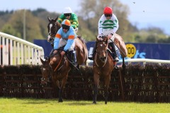 Iberique Du Seuil 180422PML0557.jpg