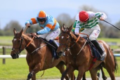 Iberique Du Seuil 180422PML0564.jpg