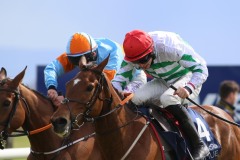 Iberique Du Seuil 180422PML0570.jpg