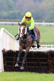 Attaboyarchie 200425PML1216.jpg