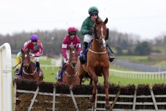 23 February 2019;  WAY BACK HOME and Robbie Power clear the first flight en route to success in The Winning Fair Juvenile Hurdle at Fairyhouse.      © Peter Mooney 59 Upper George's Street, Dun Laoghaire, Co. Dublin, A96 H2R3, Ireland.    Tel:  00 353 (0)86 2589298