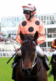 black-caviar-pml-00189851