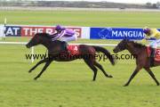 camelot-pml-00190164
