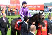 camelot-pml-00190194
