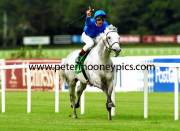daylami-champion-99j-931