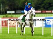 daylami-champion-99j-931