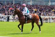 frankel-pml-00188464